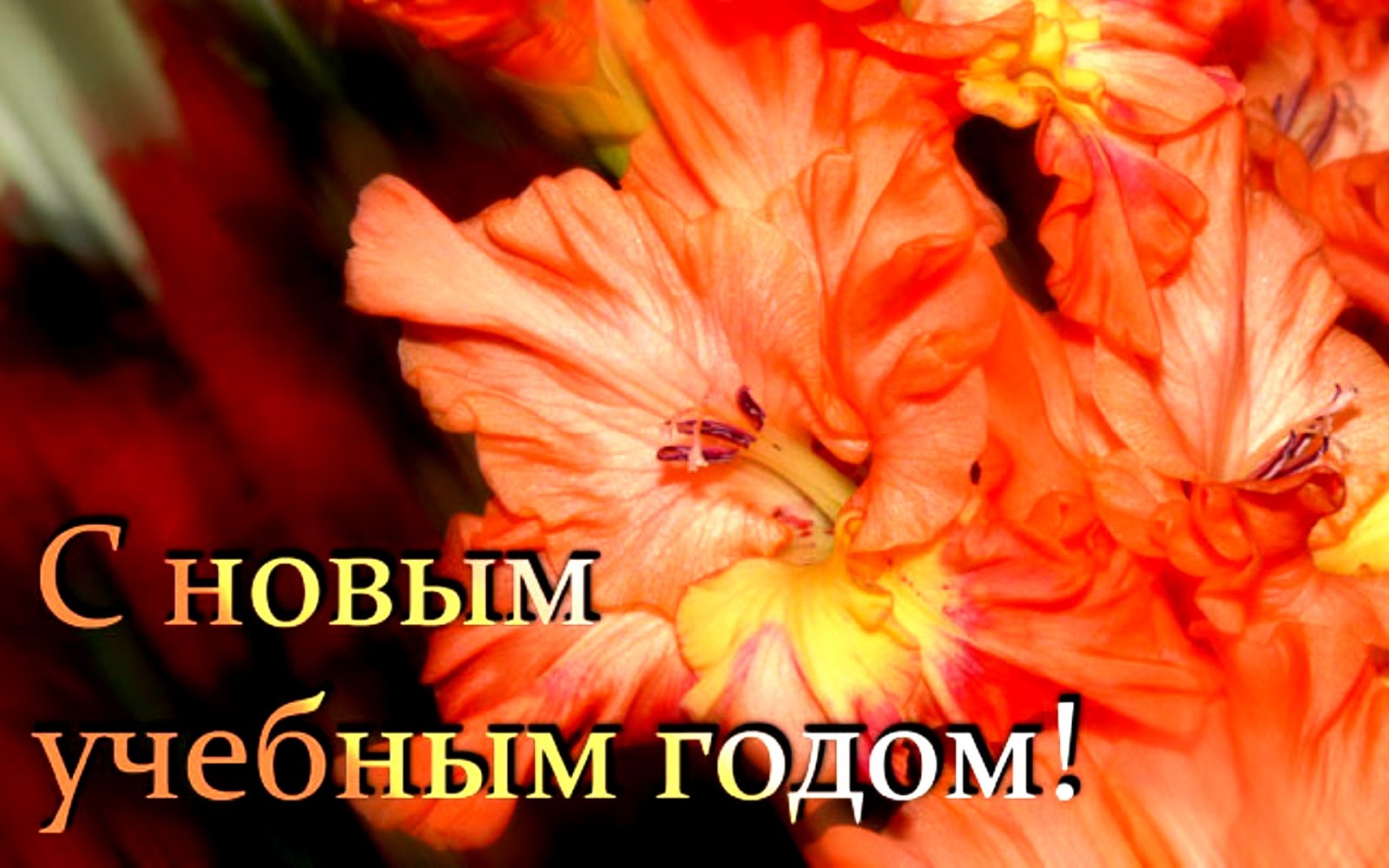 kartinki24 ru holidays 19