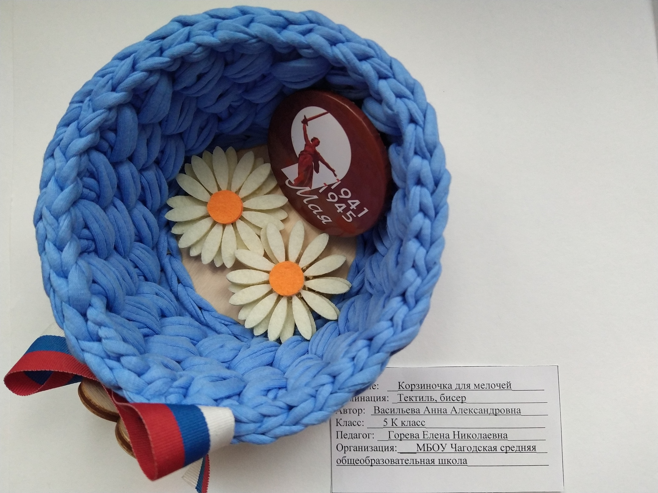 Васильева Анна 5 к