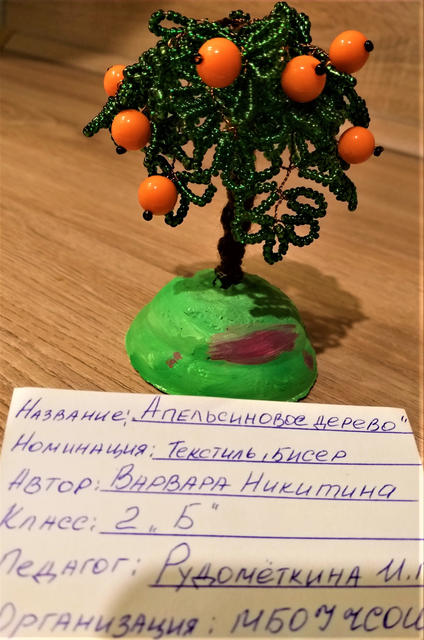 Никитина Варвара 2 б класс